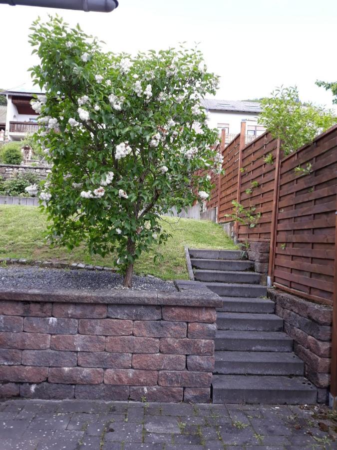 Appartement Saarblick *