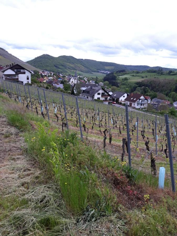 Saarblick * Ockfen